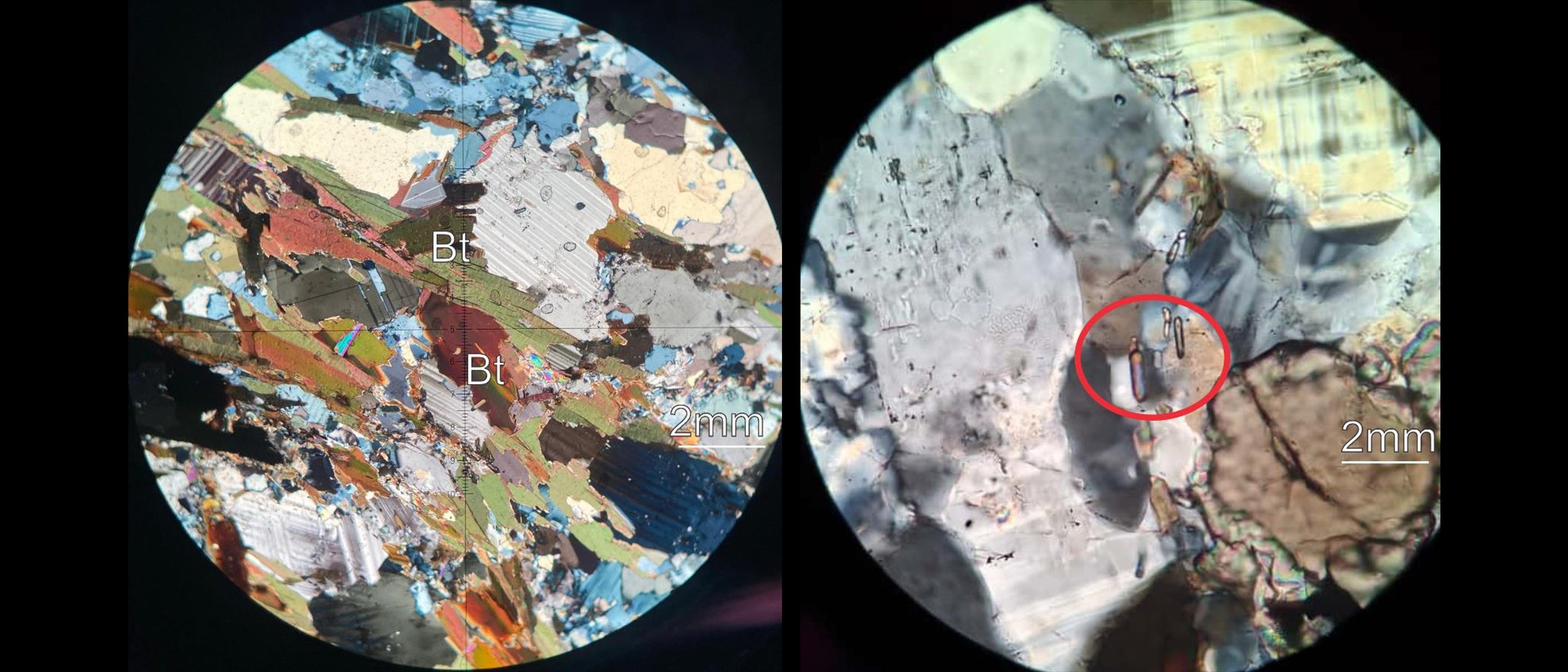 Lâminas delgadas de rocha ao microscópio petrográfico com luz polarizada, mostrando grãos minerais (biotita) - Laboratório Suporte